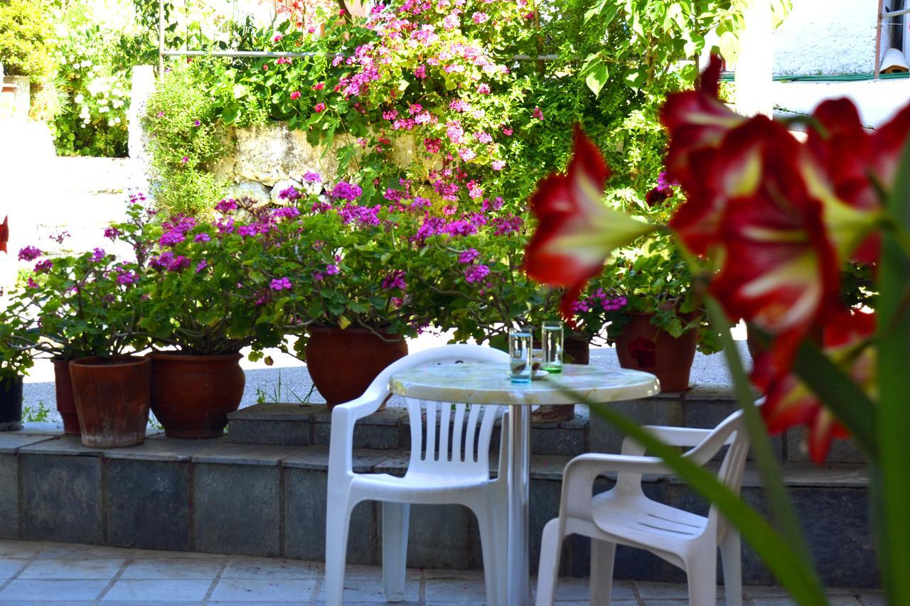 Geroulis Stefanos Studios Vasiliki Exterior foto
